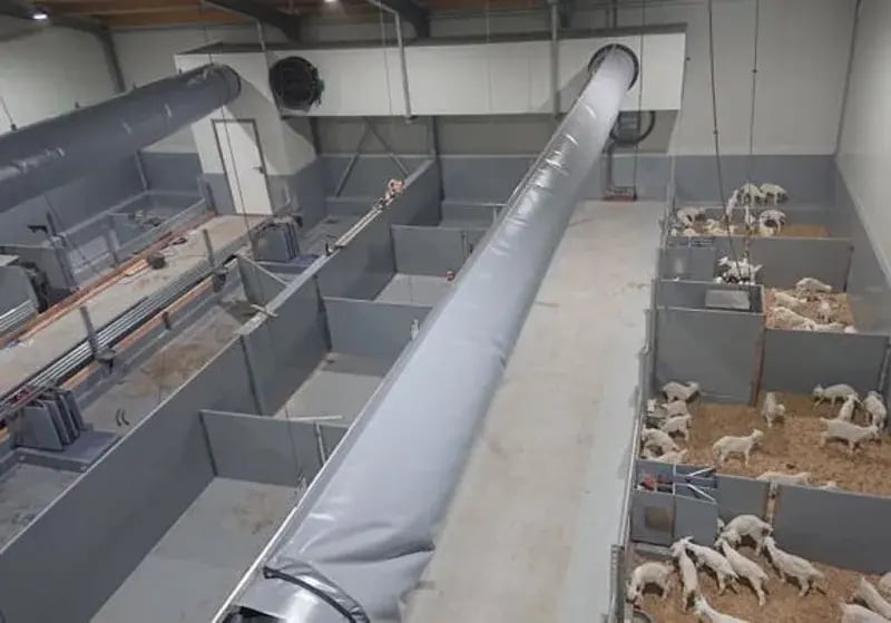 Vue d'une installation agricole avec des conduits de ventilation aériens et des enclos pour animaux