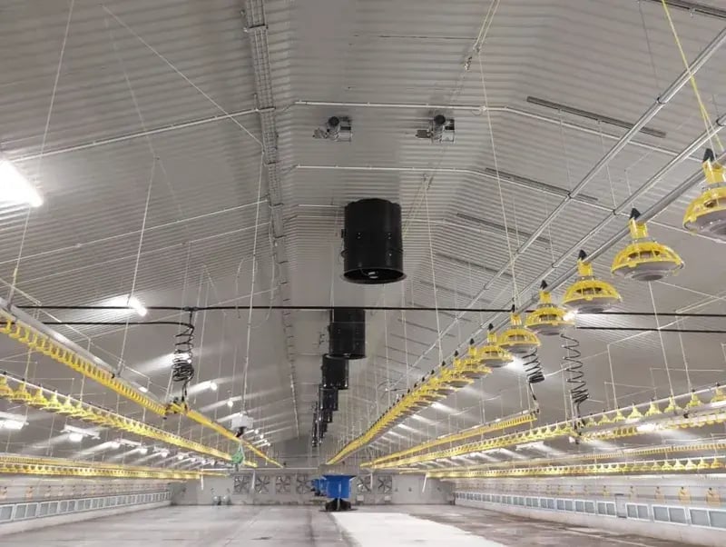 Interior view of a livestock facility featuring overhead ventilation systems and lighting