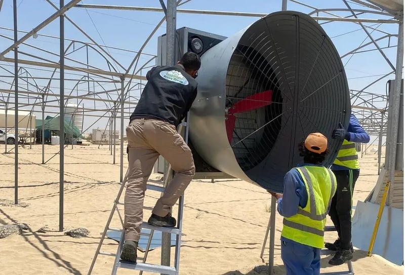 Werknemers installeren een grote industriële ventilator in een landbouwbedrijf in de woestijn