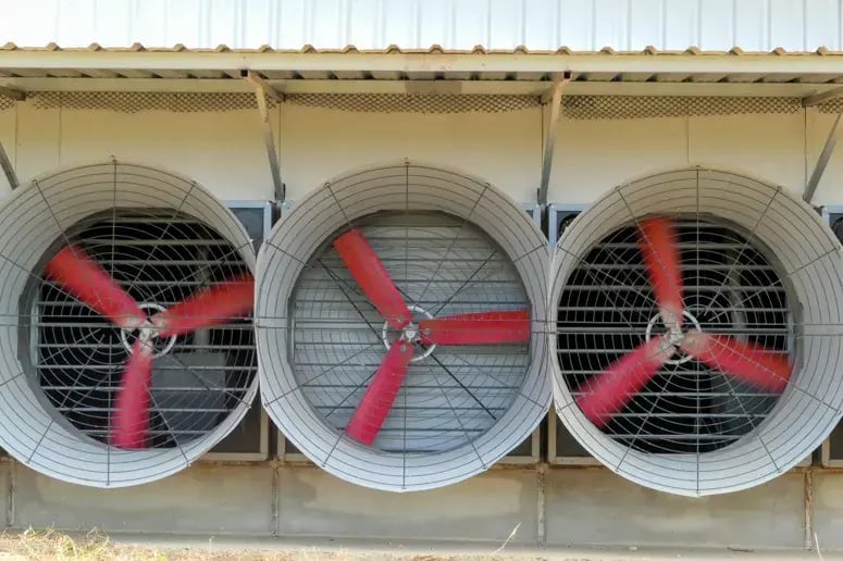 Ventilatoren gemonteerd op een muur