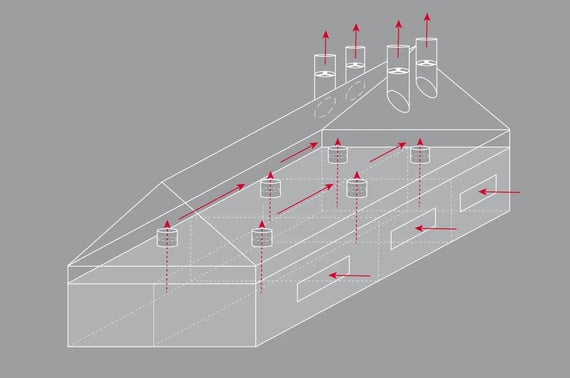 Schéma d'un système de ventilation avec ventilateurs d'extraction et directions du flux d'air à l'intérieur d'un poulailler