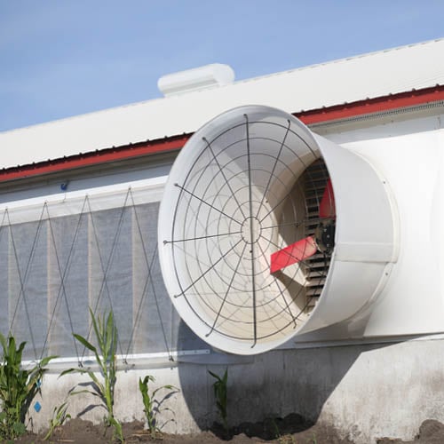 Multifan Fiberglass Cone Fan Vplus Pigs R