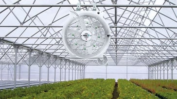 Large fan mounted in a greenhouse with rows of plants below and a metal structure above