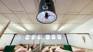 Multifan Tube Fan Pigs L
