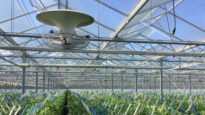 Vertical circulation fans for greenhouses video