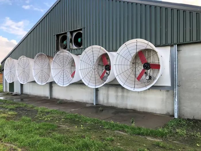Große Lüfterventilatoren an der Außenseite eines landwirtschaftlichen Gebäudes montiert, alle in einer Linie angeordnet, mit Schutzgittern und roten Flügeln