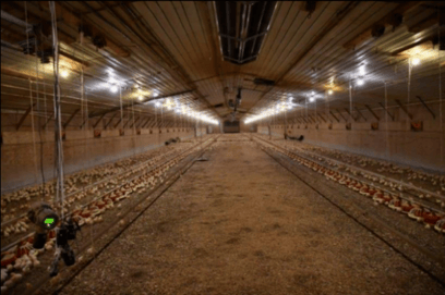 Poultry barn without Multifan