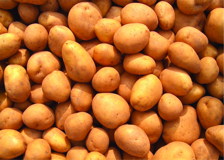 Drying_stock_optimized-2