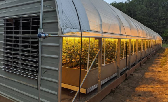 Fullbloom inside of greenhouse landscape