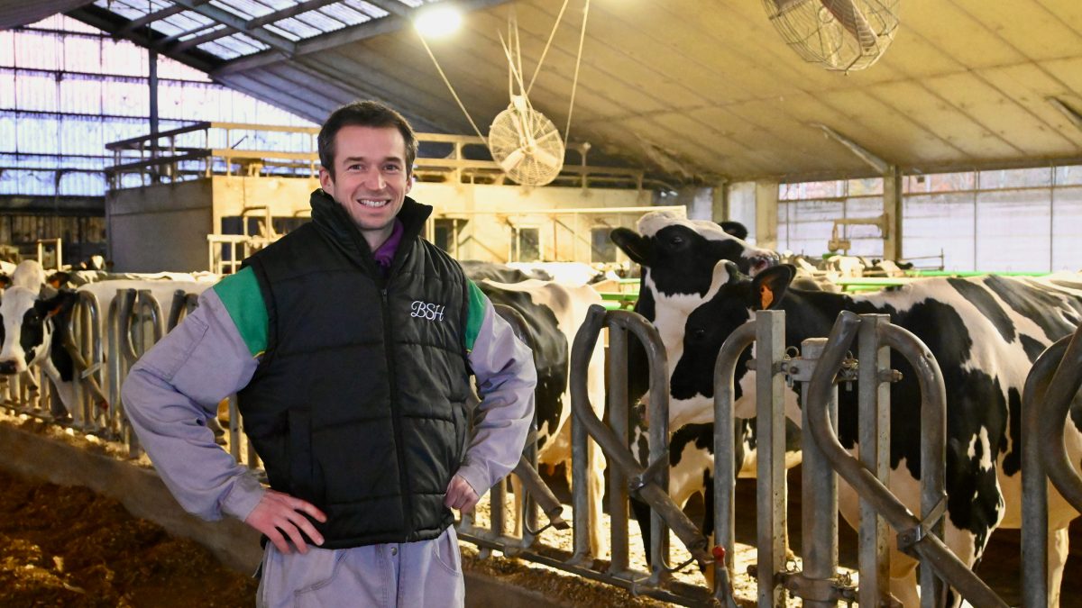 farmer in front of Multifan fans in dairy barn