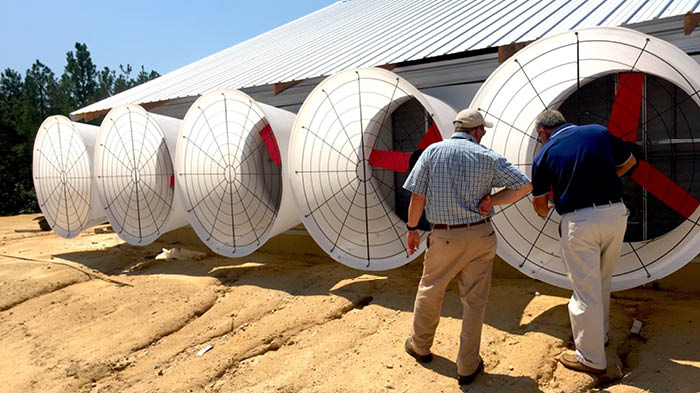 MultifanFiberglass Cone Ventilatoren Varkens