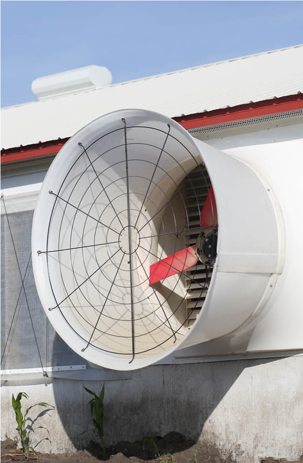 Multifan Fiberglass Cone Fan Vplus Pigs P