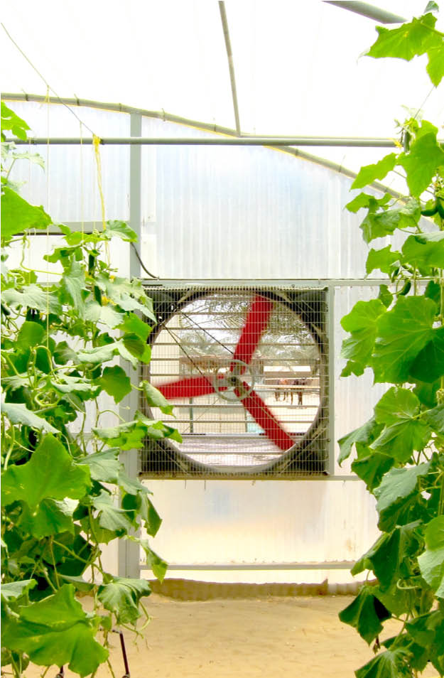 Multifan Galvanized Box Fan Greenhouse P