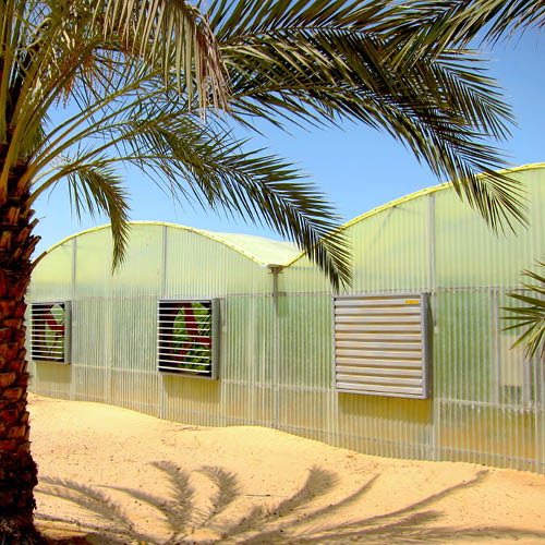 Greenhouse with ventilation fans in a desert environment