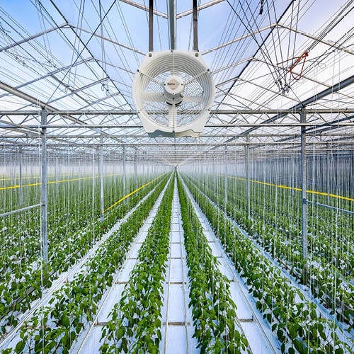 Multifan Circulation Fan Greenhouse R