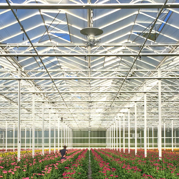 Multifan V-FloFan Greenhouse 2 R