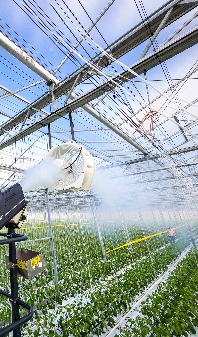 Ventilateur brasseur d'air pour serres horticoles et maraîchères- Caldor