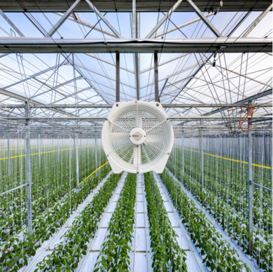 greenhouse fan-1